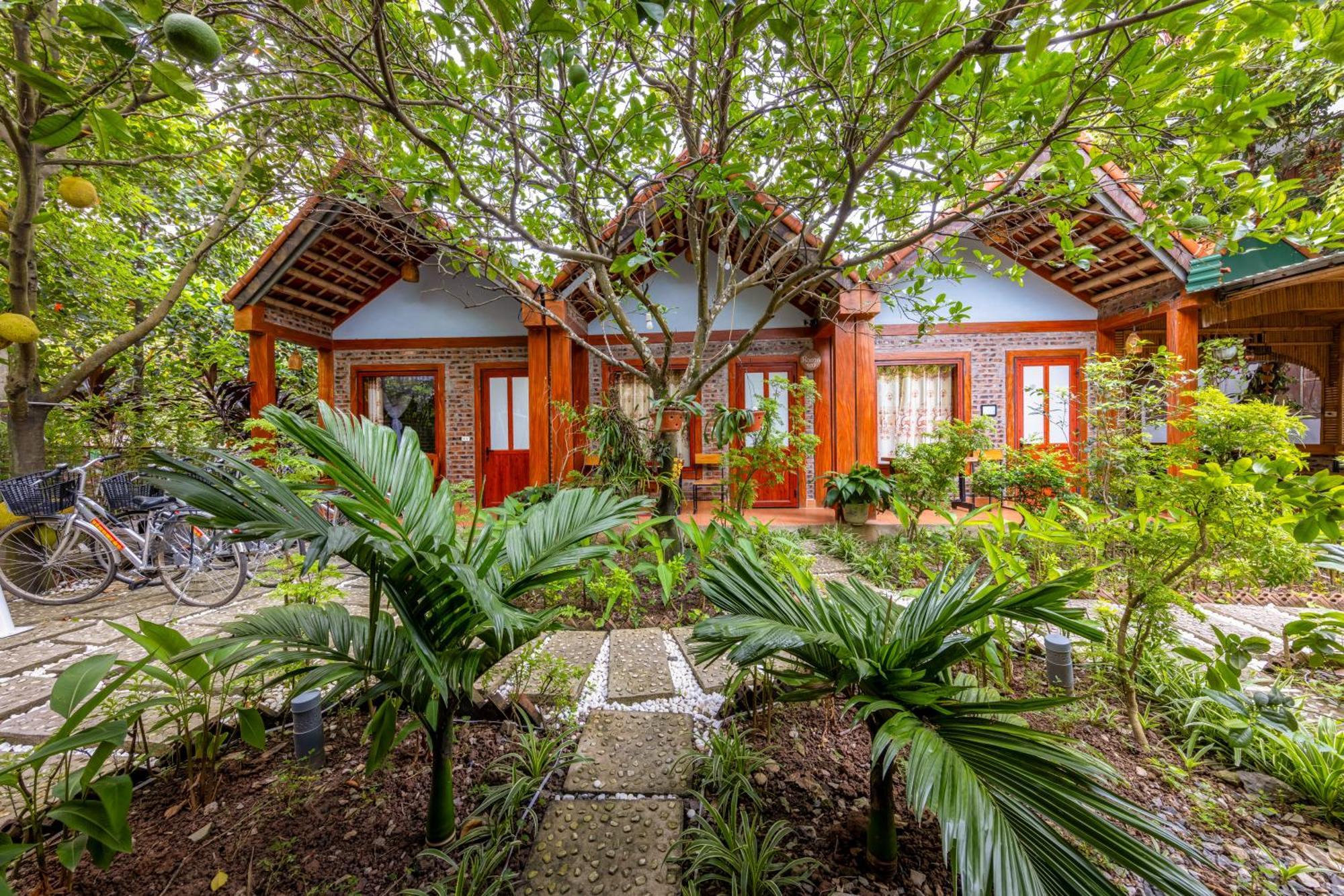 Tam Coc Moonlight Bungalow Van Lam Exteriér fotografie